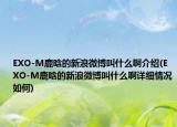 EXO-M鹿晗的新浪微博叫什么啊介绍(EXO-M鹿晗的新浪微博叫什么啊详细情况如何)