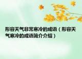 形容天气非常寒冷的成语（形容天气寒冷的成语简介介绍）