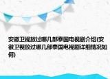 安徽卫视放过哪几部泰国电视剧介绍(安徽卫视放过哪几部泰国电视剧详细情况如何)
