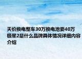 天价换电整车30万换电池要40万 极星2是什么品牌具体情况详细内容介绍