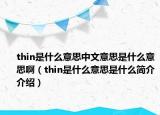 thin是什么意思中文意思是什么意思啊（thin是什么意思是什么简介介绍）