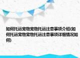 如何托运宠物宠物托运注意事项介绍(如何托运宠物宠物托运注意事项详细情况如何)