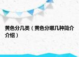 黄色分几类（黄色分哪几种简介介绍）