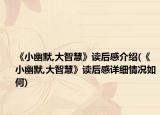 《小幽默,大智慧》读后感介绍(《小幽默,大智慧》读后感详细情况如何)