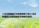 三北豆酥糖最正宗的是哪家介绍(三北豆酥糖最正宗的是哪家详细情况如何)