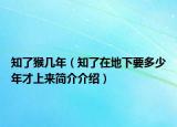知了猴几年（知了在地下要多少年才上来简介介绍）