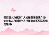 安徽省人力资源个人社保查询系统介绍(安徽省人力资源个人社保查询系统详细情况如何)