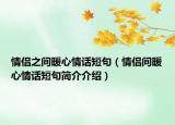 情侣之间暖心情话短句（情侣间暖心情话短句简介介绍）