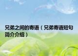 兄弟之间的寄语（兄弟寄语短句简介介绍）