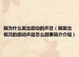 猫为什么发出震动的声音（猫发出低沉的震动声是怎么回事简介介绍）