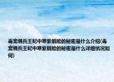 毒宠佣兵王妃中寒紫晴脸的秘密是什么介绍(毒宠佣兵王妃中寒紫晴脸的秘密是什么详细情况如何)
