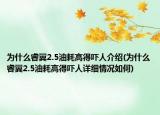 为什么睿翼2.5油耗高得吓人介绍(为什么睿翼2.5油耗高得吓人详细情况如何)