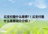 云支付是什么意思?（云支付是什么意思简介介绍）