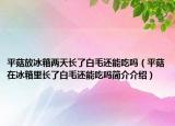 平菇放冰箱两天长了白毛还能吃吗（平菇在冰箱里长了白毛还能吃吗简介介绍）