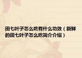 田七叶子怎么吃有什么功效（新鲜的田七叶子怎么吃简介介绍）
