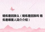 杨烁是回族么（杨烁是回族吗 杨烁是哪里人简介介绍）