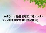 cock(it up是什么意思介绍 cock it up是什么意思详细情况如何)