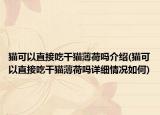 猫可以直接吃干猫薄荷吗介绍(猫可以直接吃干猫薄荷吗详细情况如何)