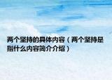 两个坚持的具体内容（两个坚持是指什么内容简介介绍）