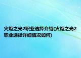 火炬之光2职业选择介绍(火炬之光2职业选择详细情况如何)