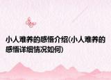 小人难养的感悟介绍(小人难养的感悟详细情况如何)