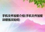 手机文件加密介绍(手机文件加密详细情况如何)
