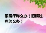 眼睛痒咋么办（眼睛过痒怎么办）