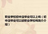 职业学校初中没毕业可以上吗（初中没毕业可以读职业学校吗简介介绍）