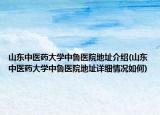 山东中医药大学中鲁医院地址介绍(山东中医药大学中鲁医院地址详细情况如何)