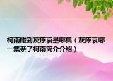 柯南碰到灰原哀是哪集（灰原哀哪一集亲了柯南简介介绍）