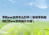 手机exe文件怎么打开（安卓手机如何打开exe文件简介介绍）