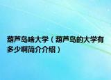 葫芦岛啥大学（葫芦岛的大学有多少啊简介介绍）