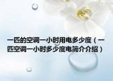 一匹的空调一小时用电多少度（一匹空调一小时多少度电简介介绍）