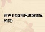 京巴介绍(京巴详细情况如何)