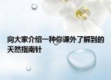 向大家介绍一种你课外了解到的天然指南针