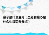 童子是什么生肖（虽老有童心是什么生肖简介介绍）