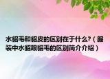 水貂毛和貂皮的区别在于什么?（服装中水貂跟貂毛的区别简介介绍）
