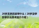20岁无学历该学什么（20岁没学历学什么技术简介介绍）