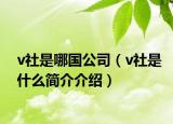 v社是哪国公司（v社是什么简介介绍）