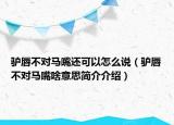 驴唇不对马嘴还可以怎么说（驴唇不对马嘴啥意思简介介绍）