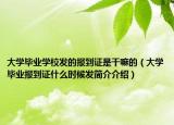 大学毕业学校发的报到证是干嘛的（大学毕业报到证什么时候发简介介绍）