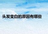 头发变白的原因有哪些