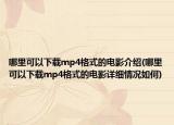 哪里可以下载mp4格式的电影介绍(哪里可以下载mp4格式的电影详细情况如何)
