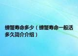 螃蟹寿命多少（螃蟹寿命一般活多久简介介绍）