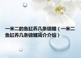 一米二的鱼缸养几条锦鲤（一米二鱼缸养几条锦鲤简介介绍）