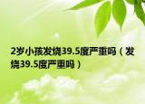 2岁小孩发烧39.5度严重吗（发烧39.5度严重吗）
