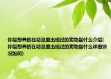 你最想养的在动漫里出现过的宠物是什么介绍(你最想养的在动漫里出现过的宠物是什么详细情况如何)