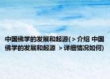 中国佛学的发展和起源(＞介绍 中国佛学的发展和起源 ＞详细情况如何)