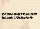 初级职称成绩查询官网介绍(初级职称成绩查询官网详细情况如何)