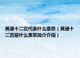 黄道十二宫代表什么意思（黄道十二宫是什么意思简介介绍）
